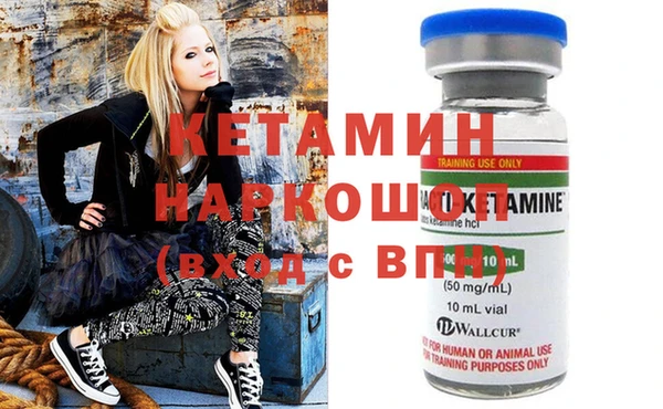 трава Балахна