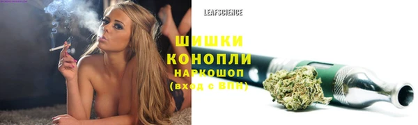 трава Балахна