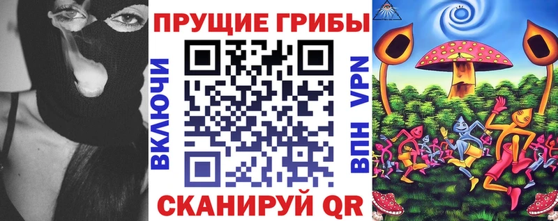 Купить  Городовиковск  Галлюциногенные грибы MAGIC MUSHROOMS 